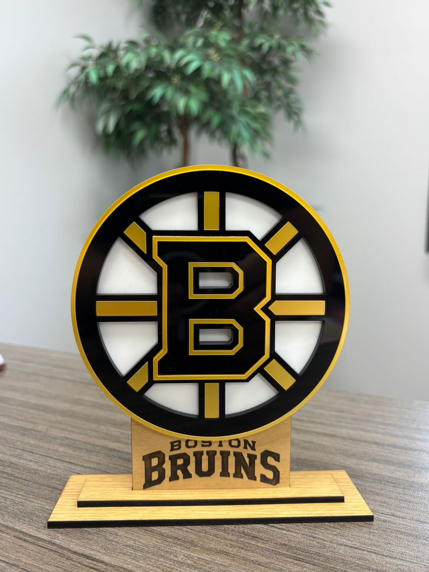 Bruins Boston Stand